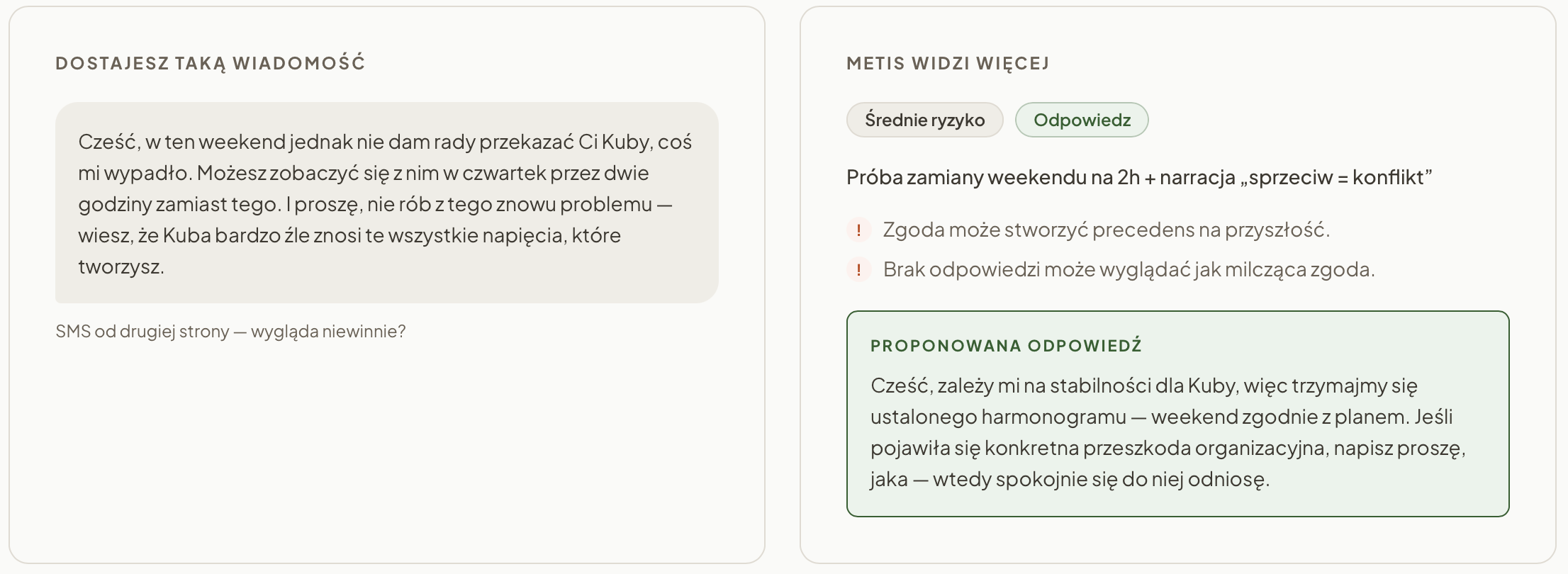The Metis analysis view showing a message assessment, tone and behavioural patterns